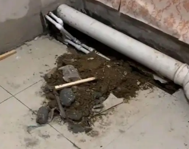 滨城卫生间漏水检测哪家好